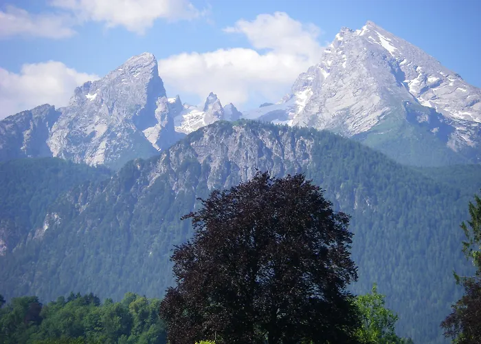 Alpenhotel Kronprinz Hotel