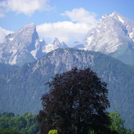 Alpenhotel Kronprinz فندق