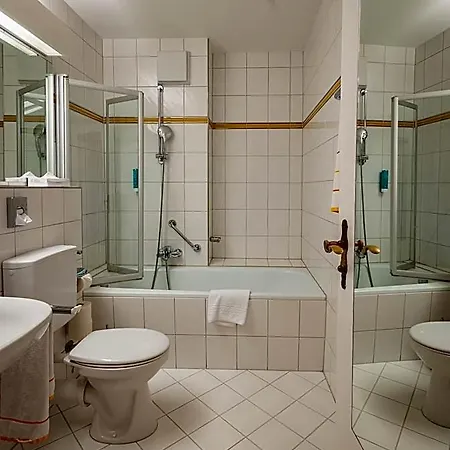 Hotel Alpenhotel Kronprinz